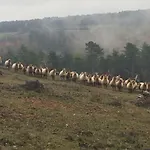 مكان تخييم Village Sy *