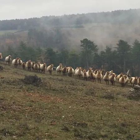 Campeggio Village Sy *